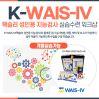 웩슬러 성인용 지능검사 K-WAIS-IV 개별실습(성인지능검사)